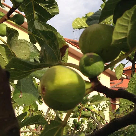 La Torretta Apartamento Barberino di Mugello